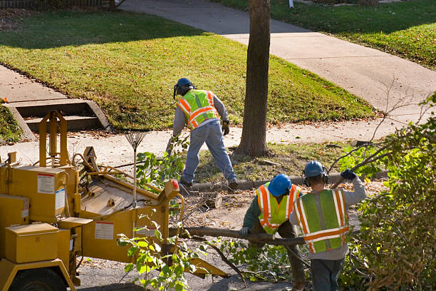 Reliable Bedford, TX Tree Removal and Landscaping Services Solutions